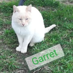 garret