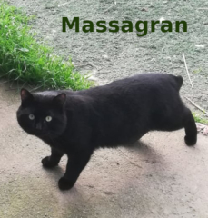 massagran